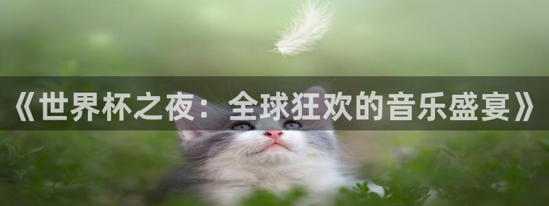 美国世界杯：《世界杯之夜：全球狂欢的音乐盛宴》