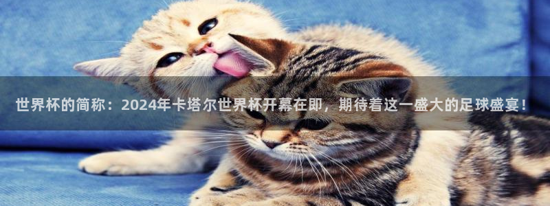 中国 世界杯：世界杯的简称：2024年卡塔尔世界杯开幕在即，期待着这一盛大的足球盛宴！