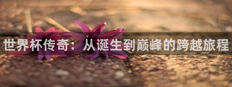 世界杯欧洲预选赛赛程：世界杯传奇：从诞生到巅峰的跨越旅程