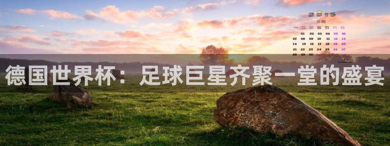 欧洲世界杯预选赛：德国世界杯：足球巨星齐聚一堂的盛宴