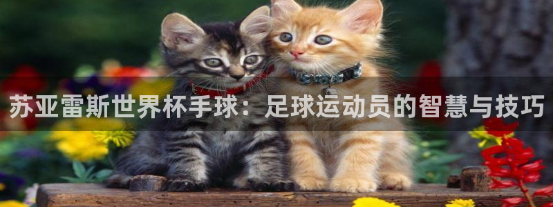 世界杯亚洲区预选赛赛程：苏亚雷斯世界杯手球：足球运动员的智慧与技巧