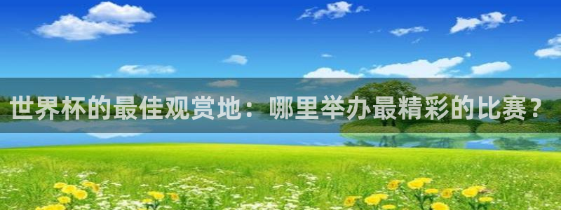 世界杯在线直播入口：世界杯的最佳观赏地：哪里举办最精彩的比赛？