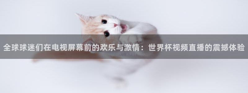 世界杯2026比赛时间表：全球球迷们在电视屏幕前的欢乐与激情：世界杯视频直播的震撼体验