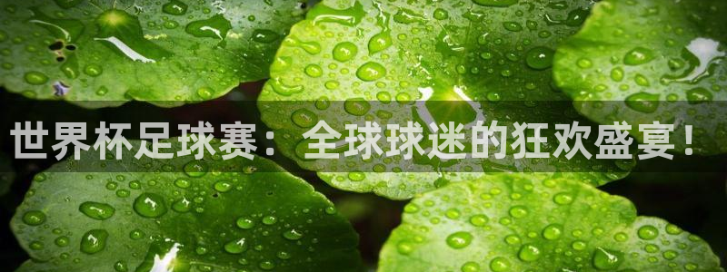 2006世界杯：世界杯足球赛：全球球迷的狂欢盛宴！