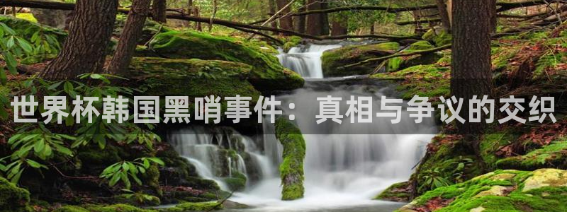 世界杯预选赛赛程：世界杯韩国黑哨事件：真相与争议的交织