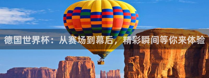 世界杯今年：德国世界杯：从赛场到幕后，精彩瞬间等你来体验