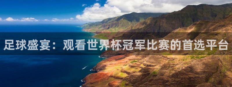 美国世界杯：足球盛宴：观看世界杯冠军比赛的首选平台