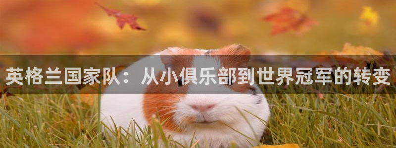 世界杯直播高清：英格兰国家队：从小俱乐部到世界冠军的转变