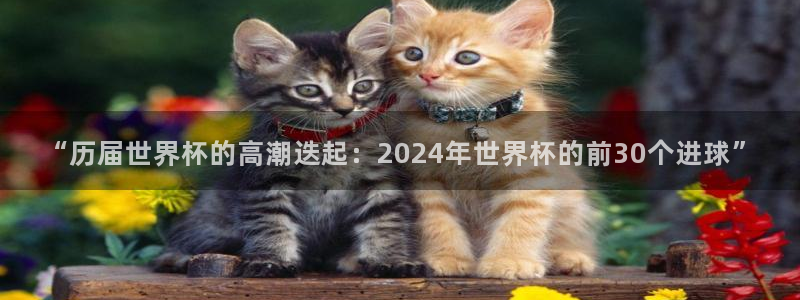 世预赛直播：“历届世界杯的高潮迭起：2024年世界杯的前30个进球”
