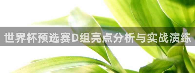 世界杯预赛赛程：世界杯预选赛D组亮点分析与实战演练