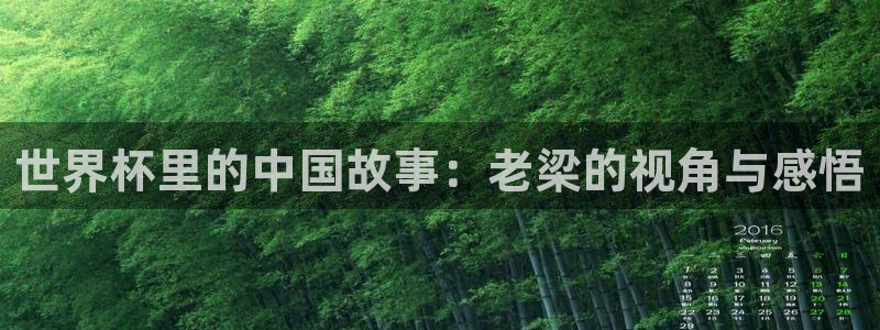 2026年世界杯时间表：世界杯里的中国故事：老梁的视角与感悟
